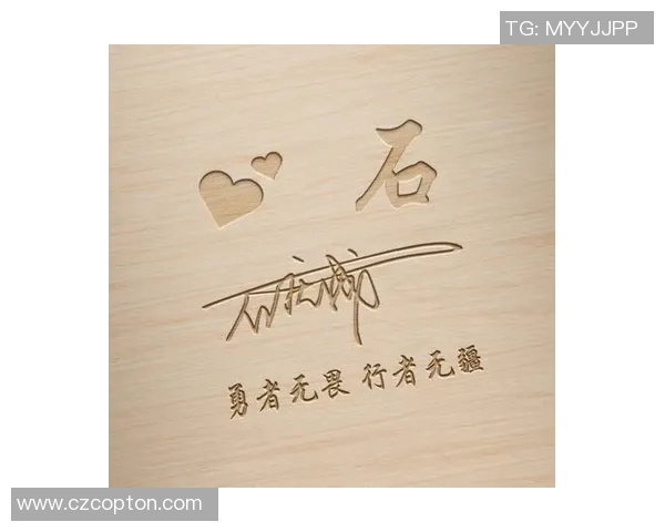 厄德高足球明星头像解析与其职业生涯成就的深度探讨